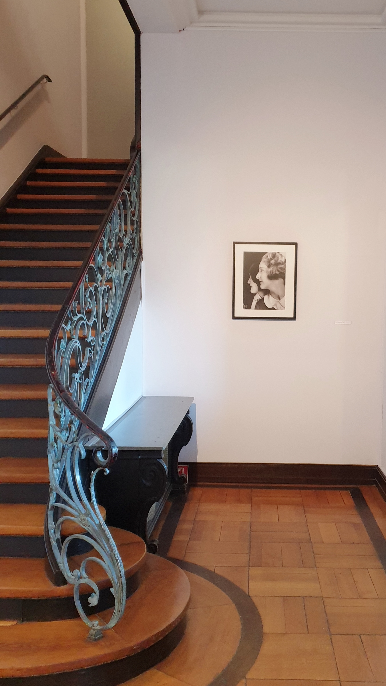 Frieda Riess und Yva - Opelvillen