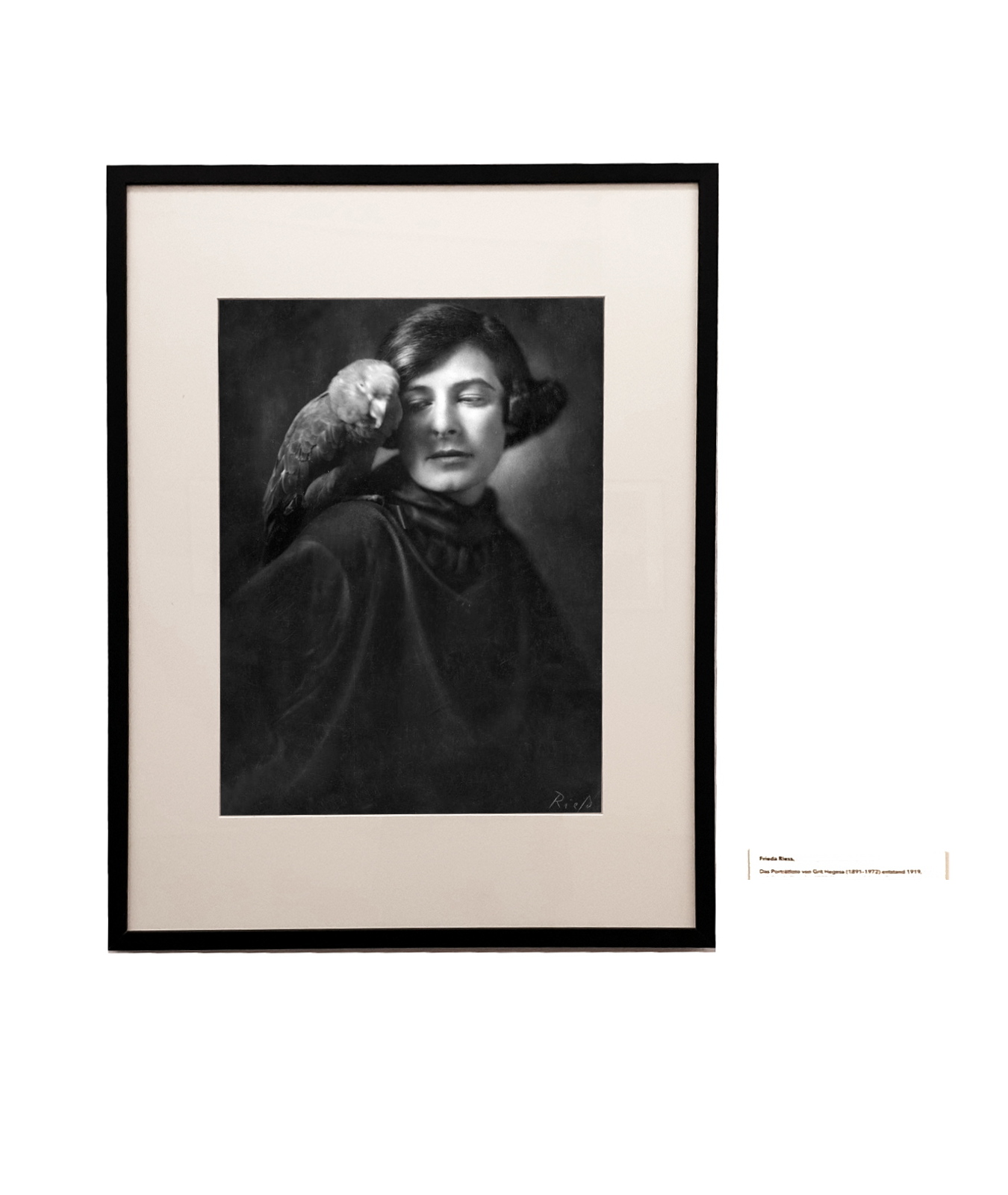 Frieda Riess und Yva - Opelvillen